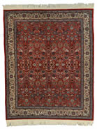 Sino-Persia Chinese Rug