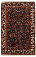 Bakhtiar Persian Rug