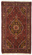 Persian Rug