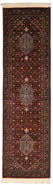 Indian Rug