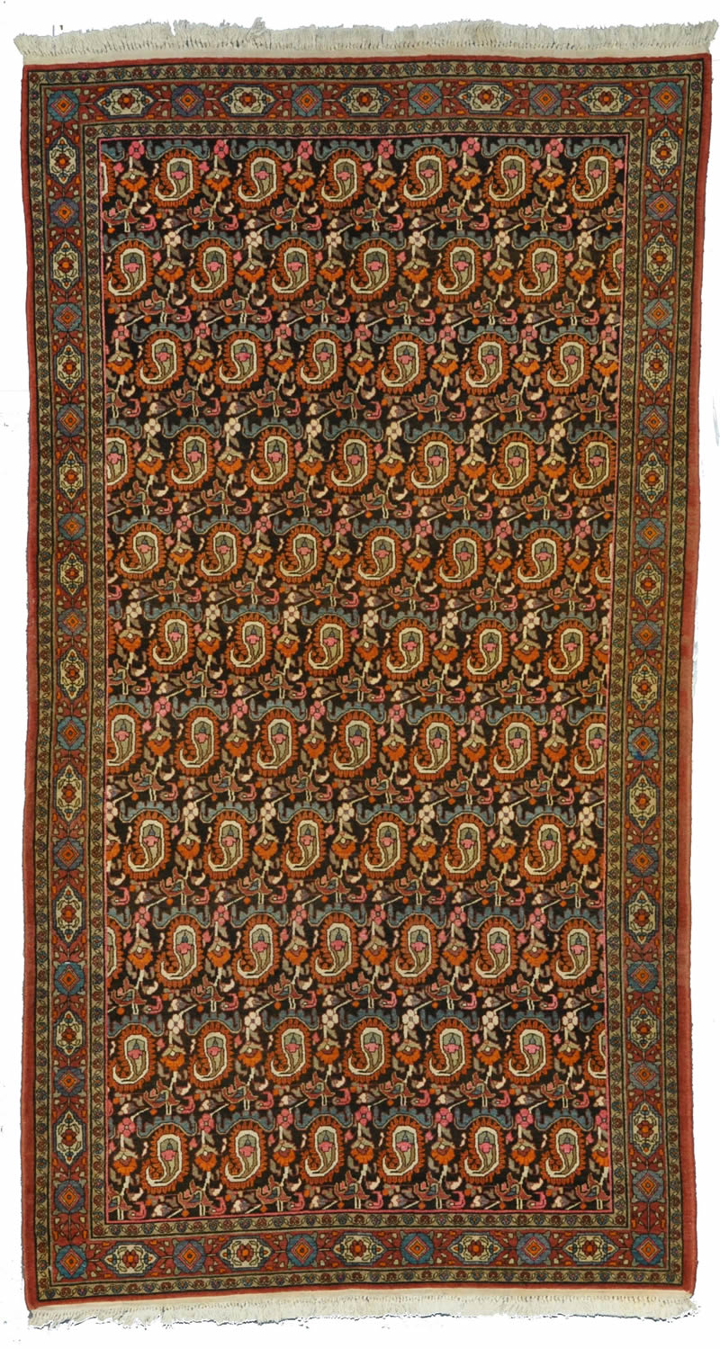 Doroksh Persian Rug