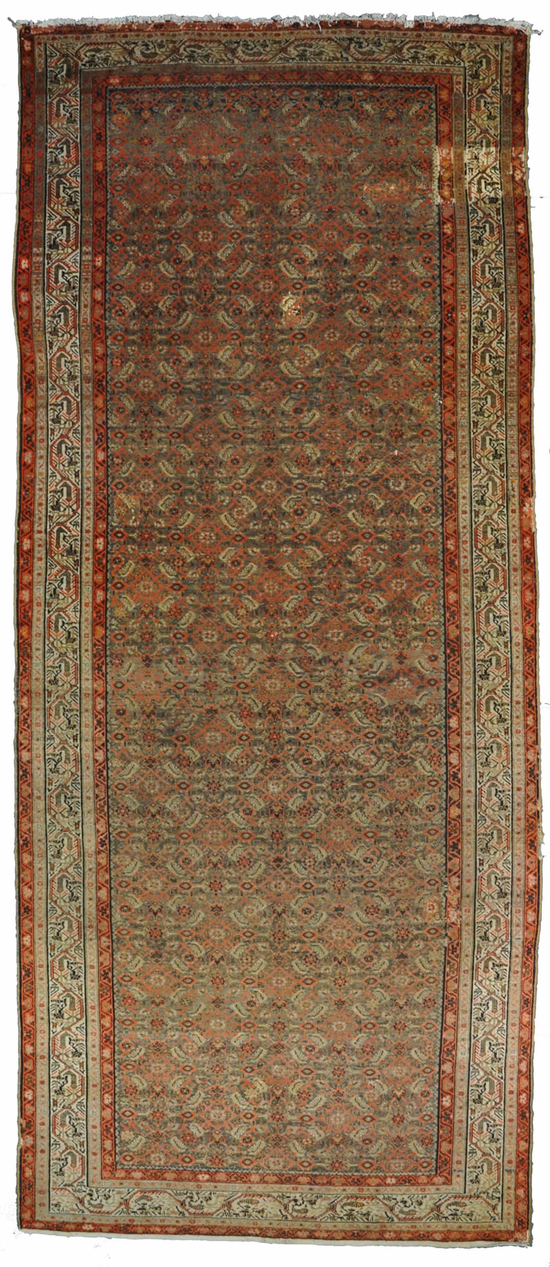 Persian Rug