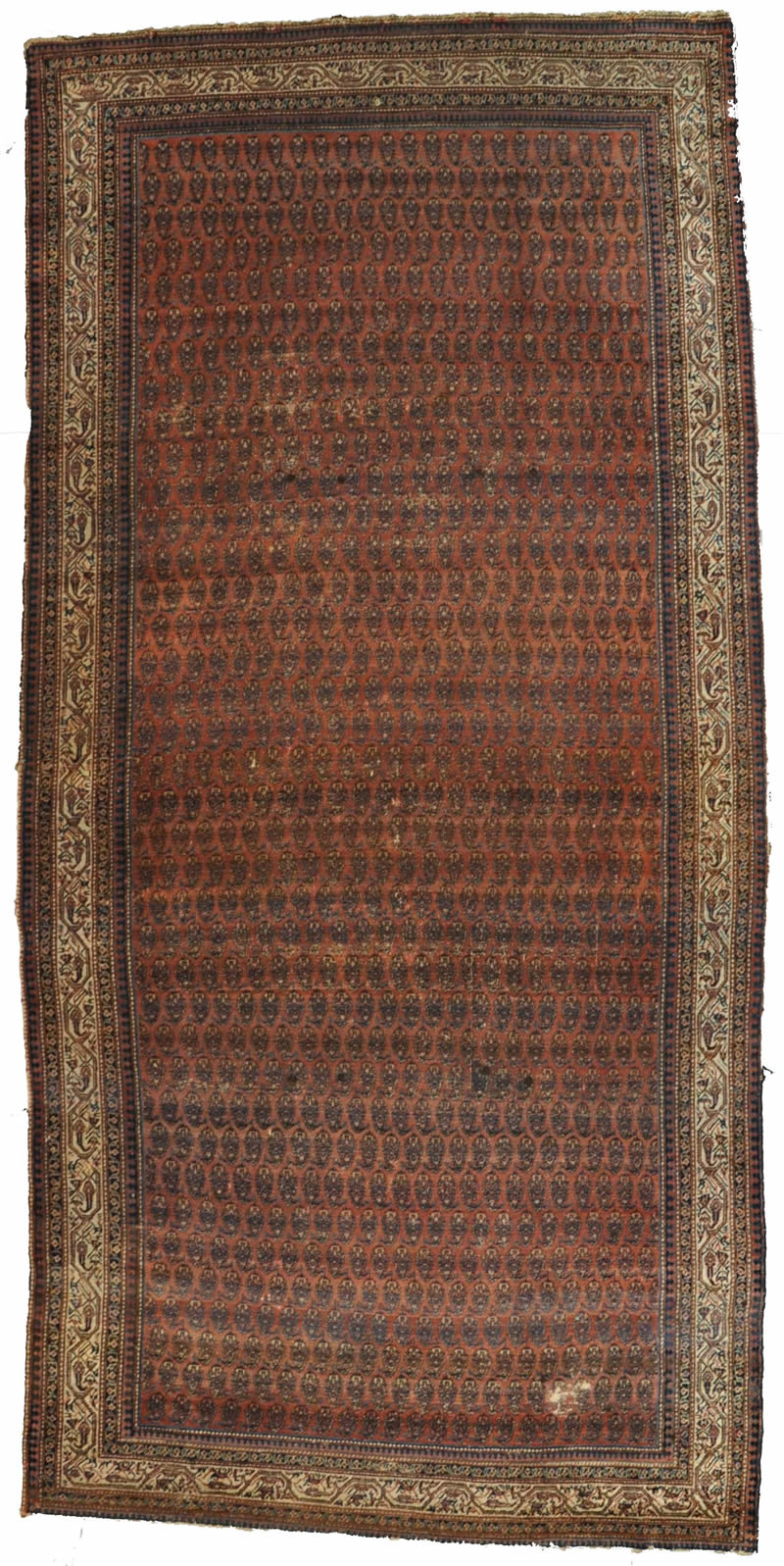 Persian Rug